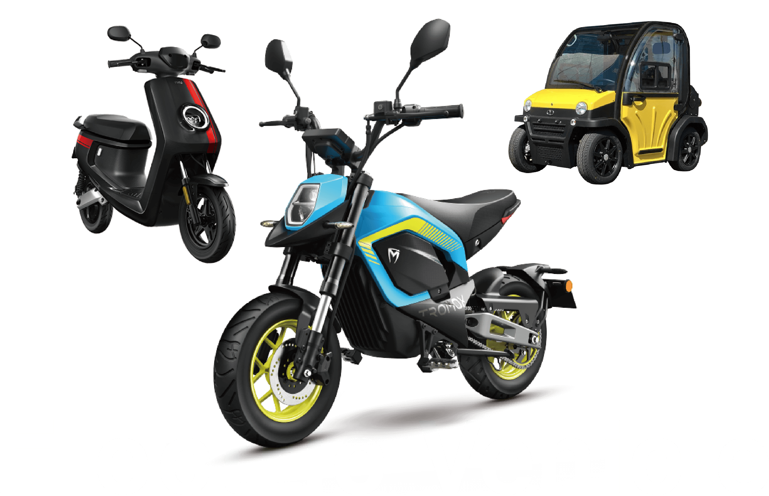 Electric Vehicle